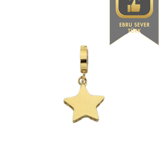 Yıldız Charm