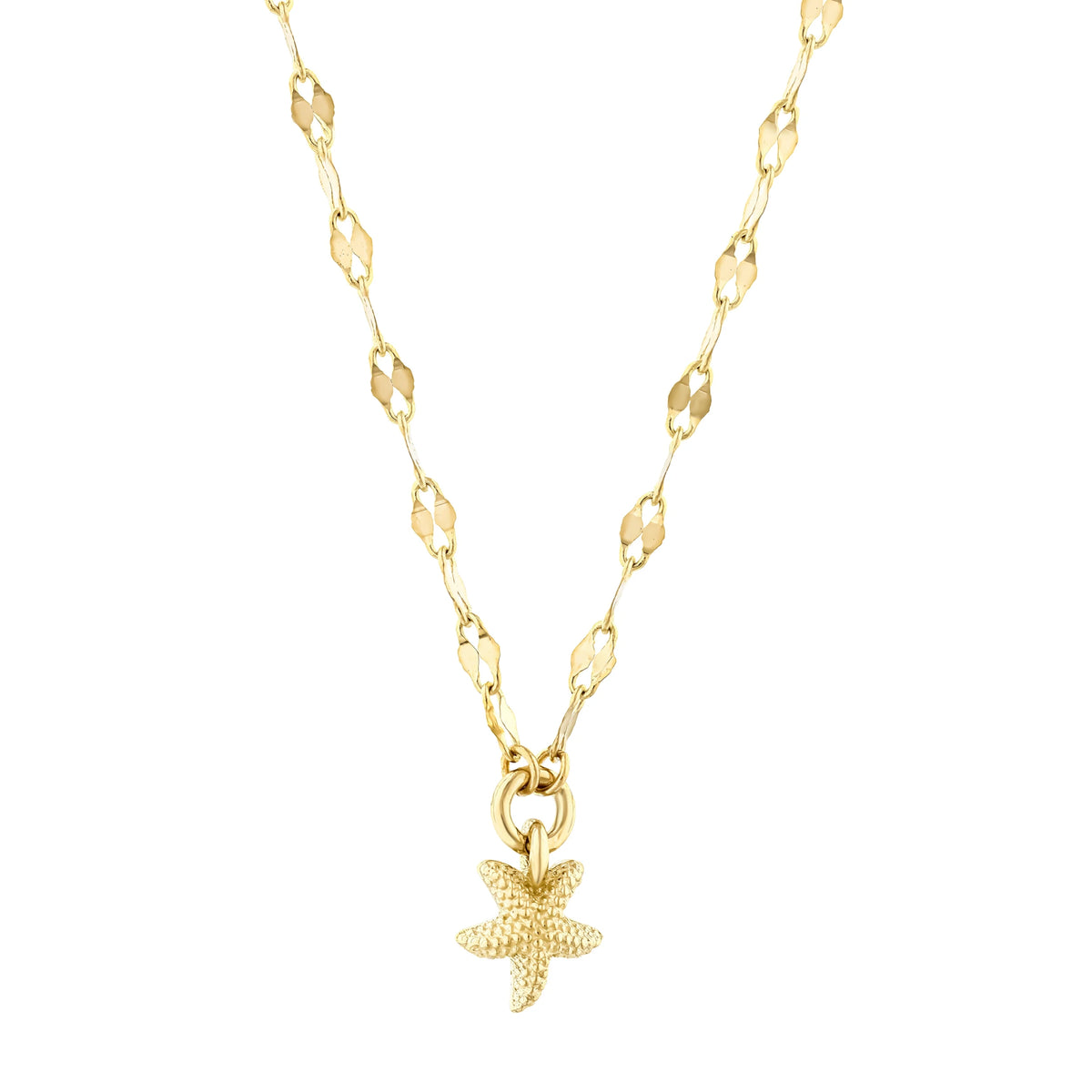 Deniz Yıldızlı Ezme Forse Zincir Choker