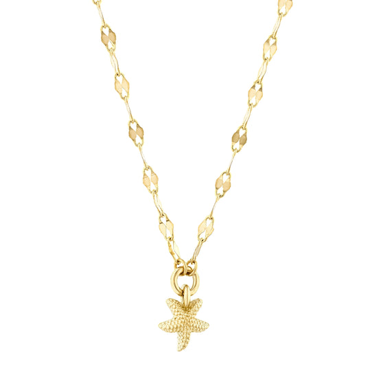 Deniz Yıldızlı Ezme Forse Zincir Choker