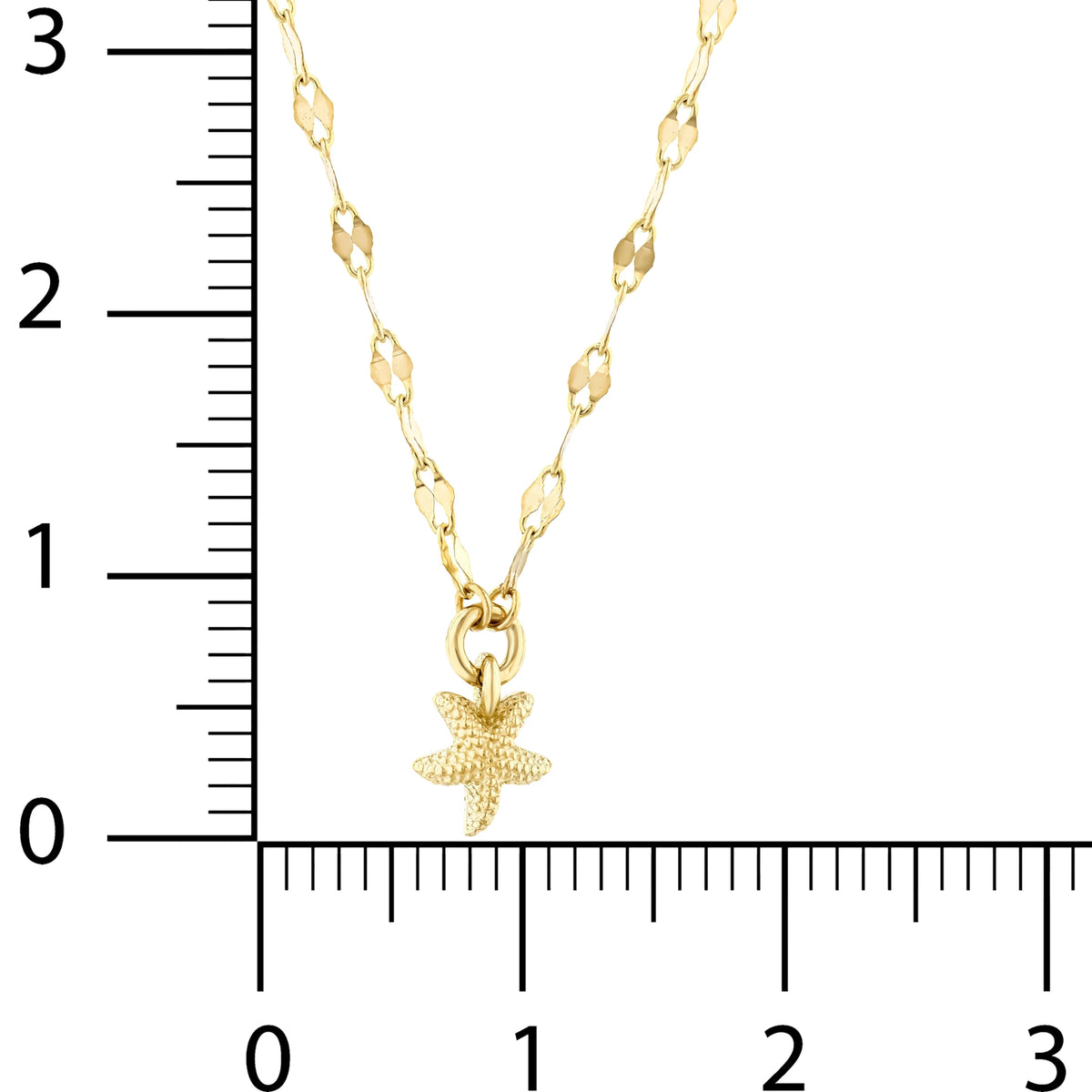 Deniz Yıldızlı Ezme Forse Zincir Choker