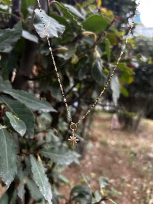 Kelebek Zincir Kutup Yıldızı Kolye, 1,54 gram olup Altın Yıldız Kolye modellerinden biridir. Ağırlığı ve zarif tasarımıyla stilinizi tamamlar.