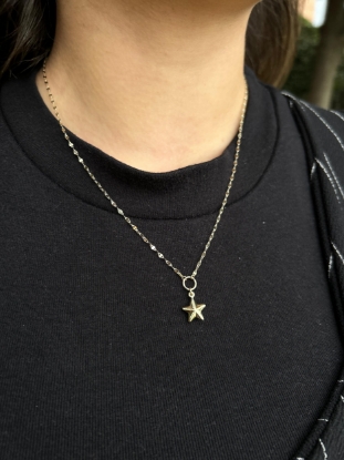 Kelebek Zincir Aynalı Yıldız Kolye, 1,69 gram, Goldium ustalığı ve Altın Kolye modeli ile uzun ömürlü kullanım sağlar.