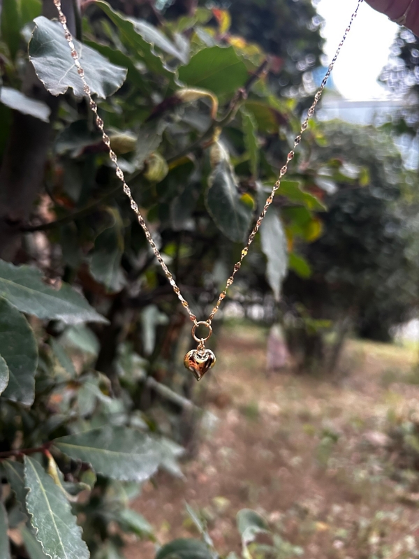 14 Ayar Kelebek Zincir Kalpli Kolye, 1,80 gram olup Altın Kolye modellerinden biridir. Ağırlığı ve zarif tasarımıyla stilinizi tamamlar.