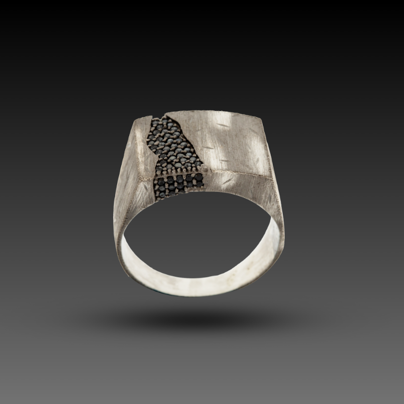 Erkek In Black Yüzük, 0 gram tasarımıyla Altın Erkek Yüzük kategorisinde, Goldium imzasıyla modern bir görünüm sunar.