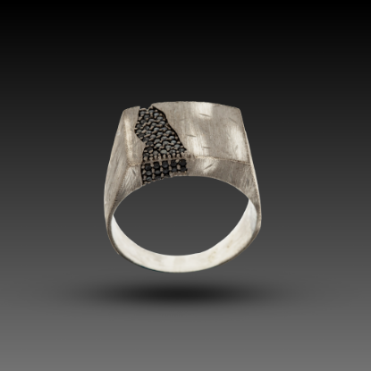 Erkek In Black Yüzük, 0 gram tasarımıyla Altın Erkek Yüzük kategorisinde, Goldium imzasıyla modern bir görünüm sunar.