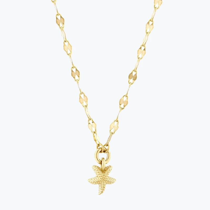 Deniz Yıldızlı Ezme Forse Zincir Choker resmi