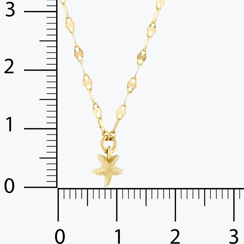 Deniz Yıldızlı Ezme Forse Zincir Choker resmi